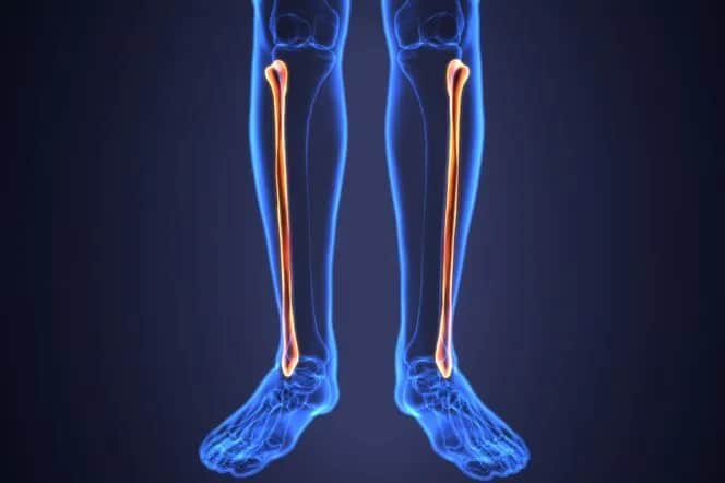 Co to goleń? Poznaj jej funkcje i zastosowania w kuchni oraz rehabilitacji